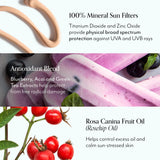Block Star Tinted Daily Mineral Sunscreen SPF 30 key ingredients