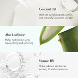 Lemon & Sage Luscious Hand Wash with Aloe Key Ingredients